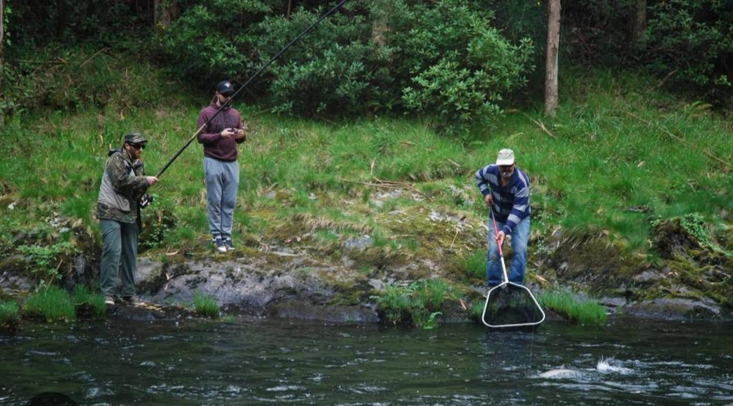 La Salmonera Cangas De Onis Caño Dış mekan fotoğraf
